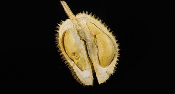 إخلاء جامعة بسبب ثمرة فاكهة