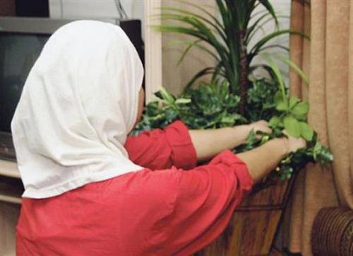 الحسينات: نؤيد فرض غرامات على مكاتب استقدام العمالة المخالفة