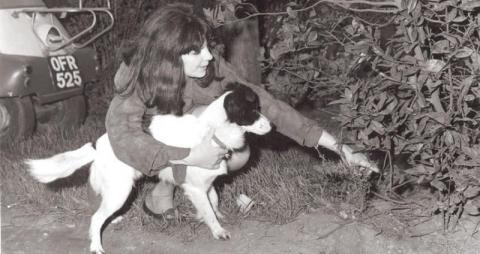 عجائب وغرائب كأس العالم تتواصل