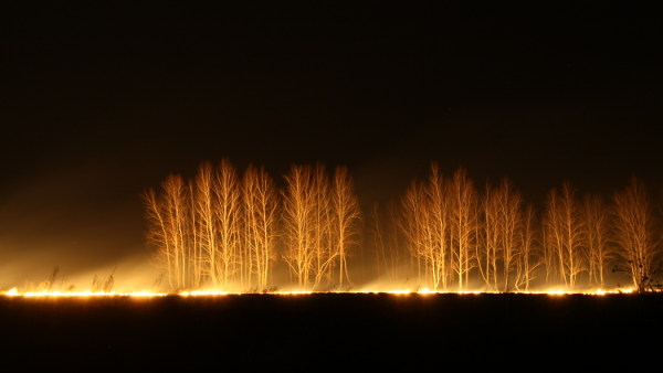 لماذا غُرّم طفل أمريكي 36 مليون دولار؟ (فيديو)