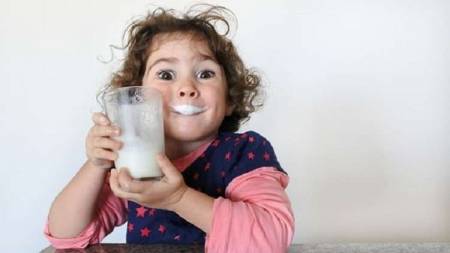 لن تصدق ... حليب الصراصير غذاء صحي متكامل ومفيد! ( تفاصيل )