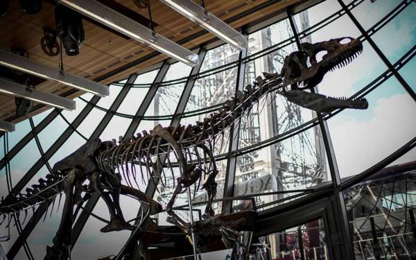 بالصور.... بيع هيكل ديناصور في مزاد بفرنسا بمبلغ قياسي