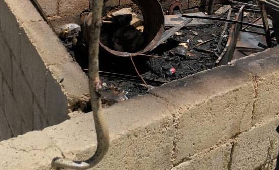 التخلص من أفعى خطرة أثناء إخماد حريق في الطفيلة