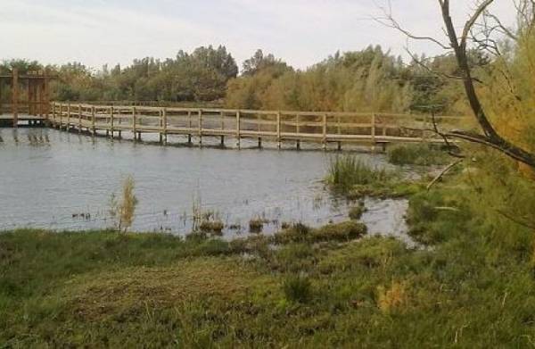 العثور على طفل فقد قبل 10 أيام في الأزرق