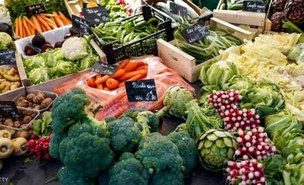 العلم يحدد 9 أغذية وقائية بديلة للأدوية