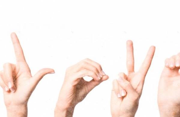 100 دينار رسوم اصدار رخصة مزاولة المهنة لمترجمي لغة الاشارة