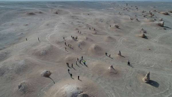 اكتشاف مذهل قد يغير نظرة العلم عن حياة الديناصورات!