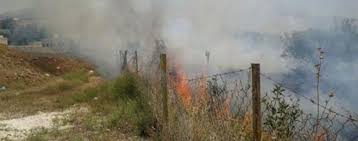 الكرك: حريق يأتي على 100 دونم