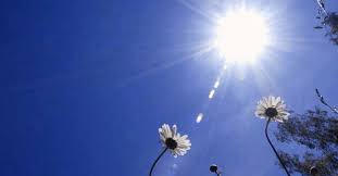 أجواء صيفية معتدلة السبت والأحد