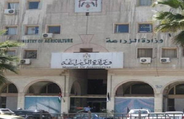 خدام: وعد حكومي بدراسة ضريبة المبيعات المفروضة على القطاع الزراعي