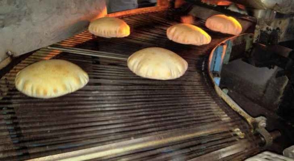 إغلاق مخبزين بداخلهما صراصير وجرذان في مأدبا