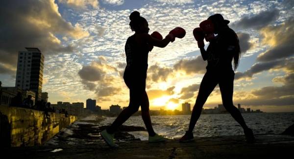 تعرف على 5 نجوم من عائلة سورية واحدة سطعت في رياضة الملاكمة فيديو