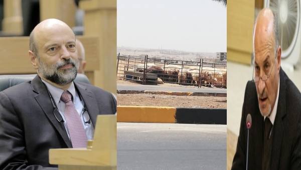 أصحاب مزارع المواشي يناشدون الرزازوبلدية اربد تبرر.. والبطاينة يرد