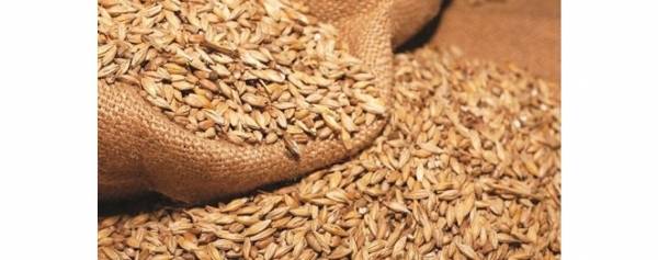 «الصناعة» تكشف نقصا بالشعير في مركز أعلاف مأدبا وتشكل لجنة تحقيق