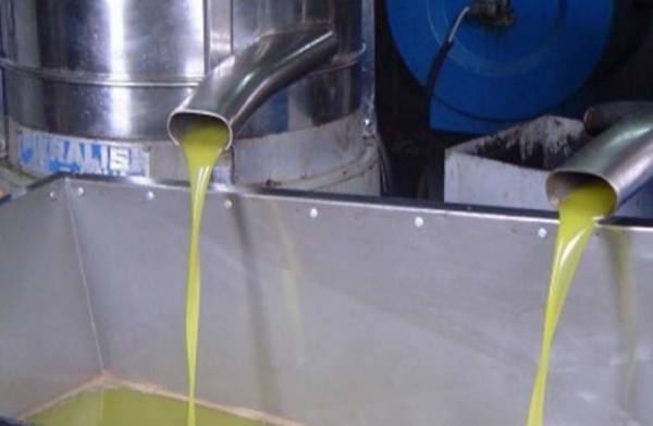 تعليمات جديدة لترخيص وانشاء معاصر الزيتون