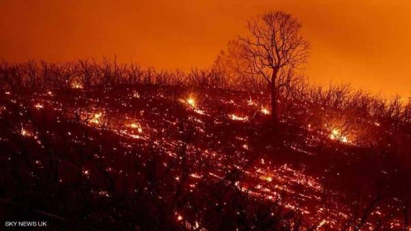 كاليفورنيا تحت رحمة أضخم حرائق بتاريخها