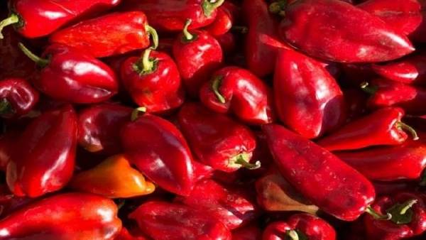 واجه حرارة الصيف بفوائد تناول الاغذيه الحاره