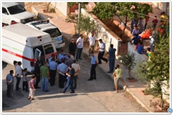 نقب الدبور أين الخلل؟