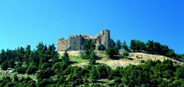 عجلون : نقص المشاريع تضعف النمو الاقتصادي