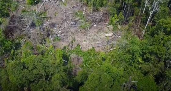 شاهد.. طائرة مسيرة تكتشف قبيلة منعزلة عن العالم الخارجي!