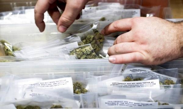 404 مليارات دولار ينفقها  الكنديون على الحشيش