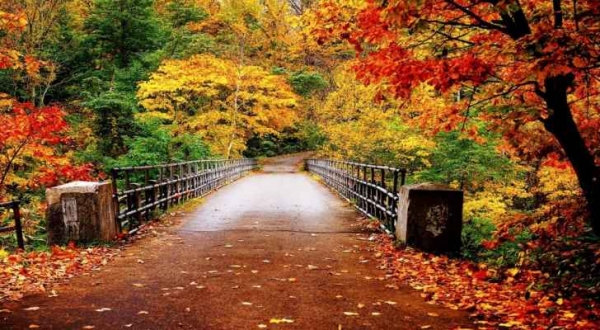 طرق صحية للتخلص من اكتئاب الخريف