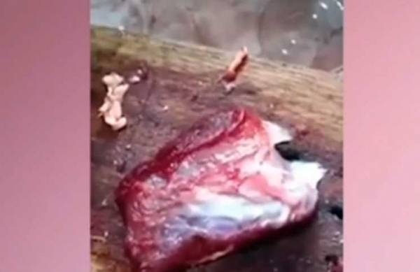 قطعة لحم تنبض بالحياة بعد ساعات من عملية الذبح ـ (فيديو)