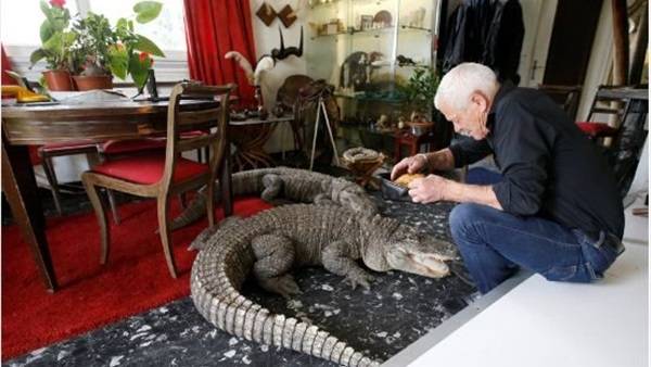 فرنسي يعيش مع 400 حيوان مفترس في منزله