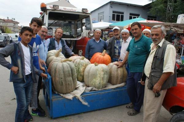 مزارع تركي يعرض للبيع ثمرة قرع تزن 57 كيلوغرام