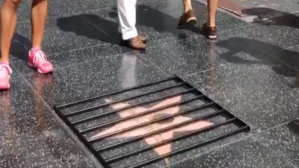 بالفيديو.. سجن نجمة ترامب في هوليوود