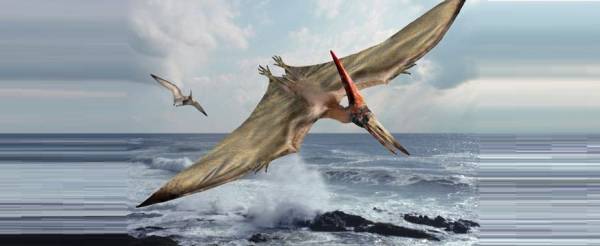 اكتشاف آثار أكبر طائر زاحف بالعالم في الرصيفة