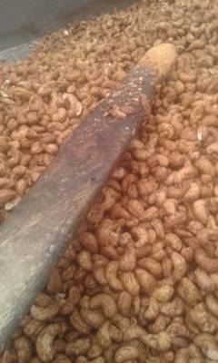 الغذاء والدواء تغلق مشاغل اشهر المحامص تحول صاحبها للقضاء ...