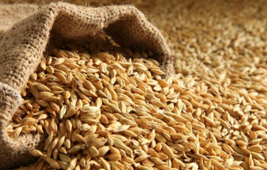 الصناعة والتجارة تحقق بنقص (200) طن شعير ونخالة