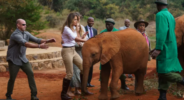 بالفيديو والصور .. ميلانيا ترامب كادت أن تُصبح في خبر كان تحت هذا الفيل .. تفاصيل