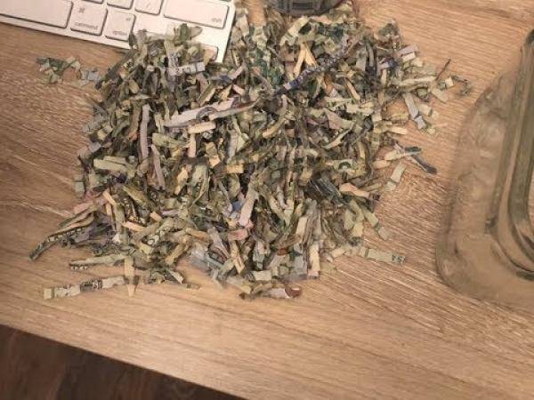 بالفيديو: طفل يضع 1000 دولار في آلة تمزيق الورق