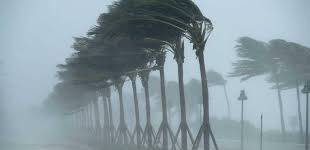 مايكل المدمر يضرب فلوريدا بعنف.. وسقوط أول قتيل