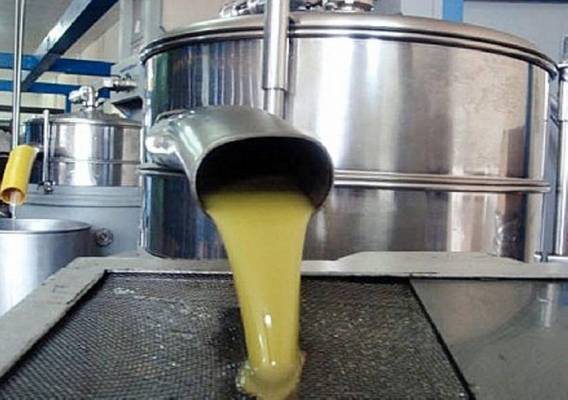 اغلاق معصرة زيتون في عجلون