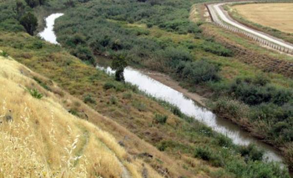 الحكومة: قرار الباقورة والغمر سيتخذ بالوقت المناسب