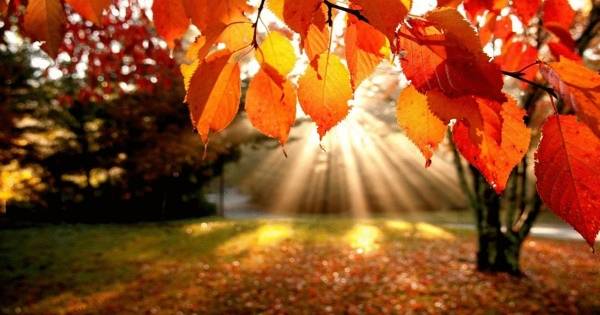 طقس الاثنين : أجواء خريفية معتدلة