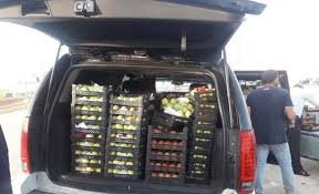 المنتجات السورية تبدأ بالظهور في المحال وإقبال على الليرة