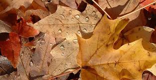 الاحد:أجواء خريفية معتدلة بأغلب مناطق المملكة