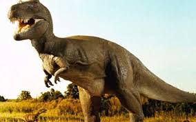 دراسة تكشف الحكمة وراء قصر يدي أشهر ديناصور