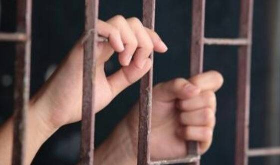 في متابعة قضية سلام البطاينة .. هل ستتدخل الحكومة ؟؟