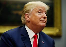 ترامب يفجر مفاجأة: سأمنع الجنسية عن المولودين في أميركا