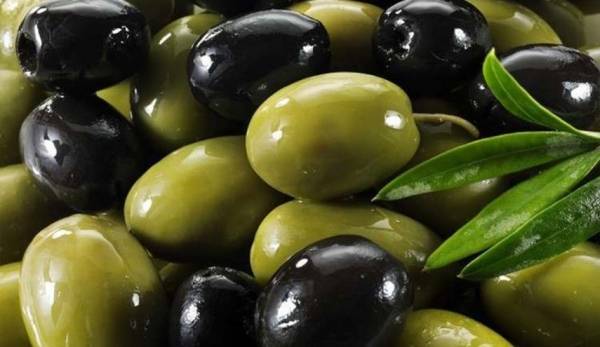 اكتشاف مادة في الزيتون تقضي على أخطر أمراض العصر!