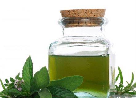 بدلاً من تعاطي الأدوية.. زيت النعناع يحارب الصداع