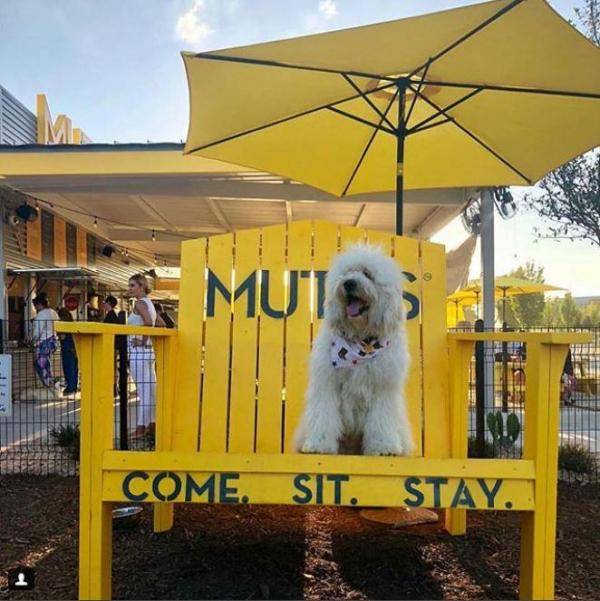 وظيفة سهلة للغاية مقابل 100 دولارساعة .. فما هي؟