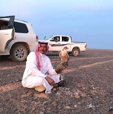 بيع صقرين بـ(37) ألف دينار في الأردن