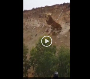 بالفيديو .. اعادة فتح طريق جرش  اربد بالاتجاهين بعد الانتهاء من ازالة الصخور الترابية