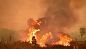 ارتفاع عدد قتلى حرائق كاليفورنيا والمفقودين لأكثر من 1000